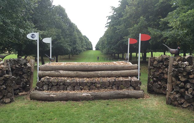 Burghley-2018-fence18-winners-ave
