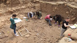Excavation in the el-Wad cave uncovered a surprising number of squamate bones.