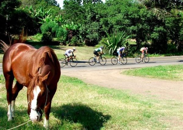 A horse is none too impressed that breakaway riders are passing by during stage four.