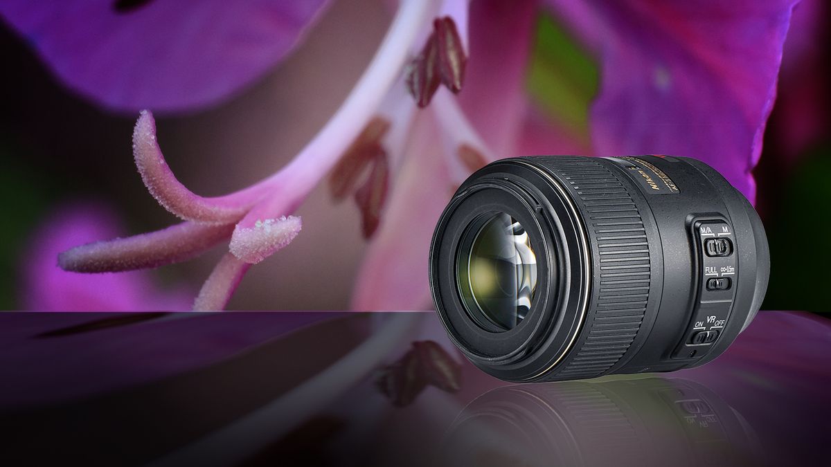 the-best-macro-lenses-in-2020-digital-camera-world