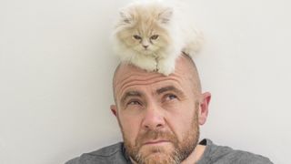 kitten on man's head