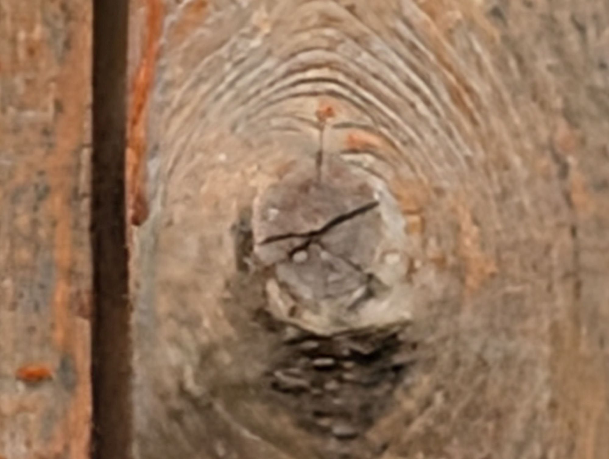 Google Pixel 10 Pro XL 100x sample.