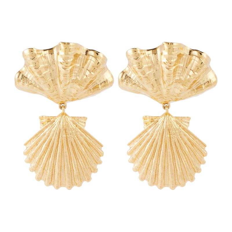 Image of shell earrings
