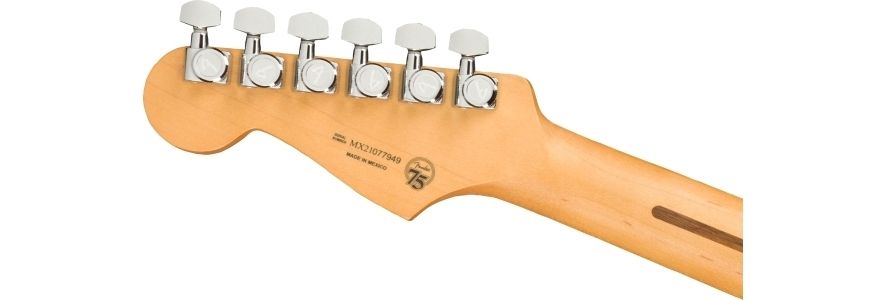 Fender Player Plus Stratocaster