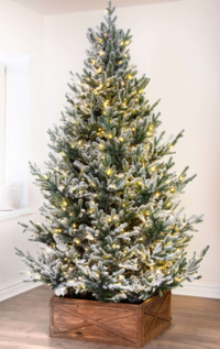 The Pre-lit Frosted Ultra Mountain Pine (5ft) - &nbsp;£169.99 (Was £249.99) | Christmas Tree World