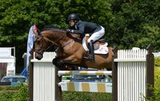 michael whitaker horses