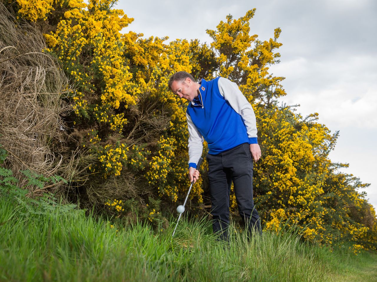 Rules of golf ball at rest moved