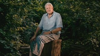 Sir David Attenborough sitting on a log promoting new series Asia