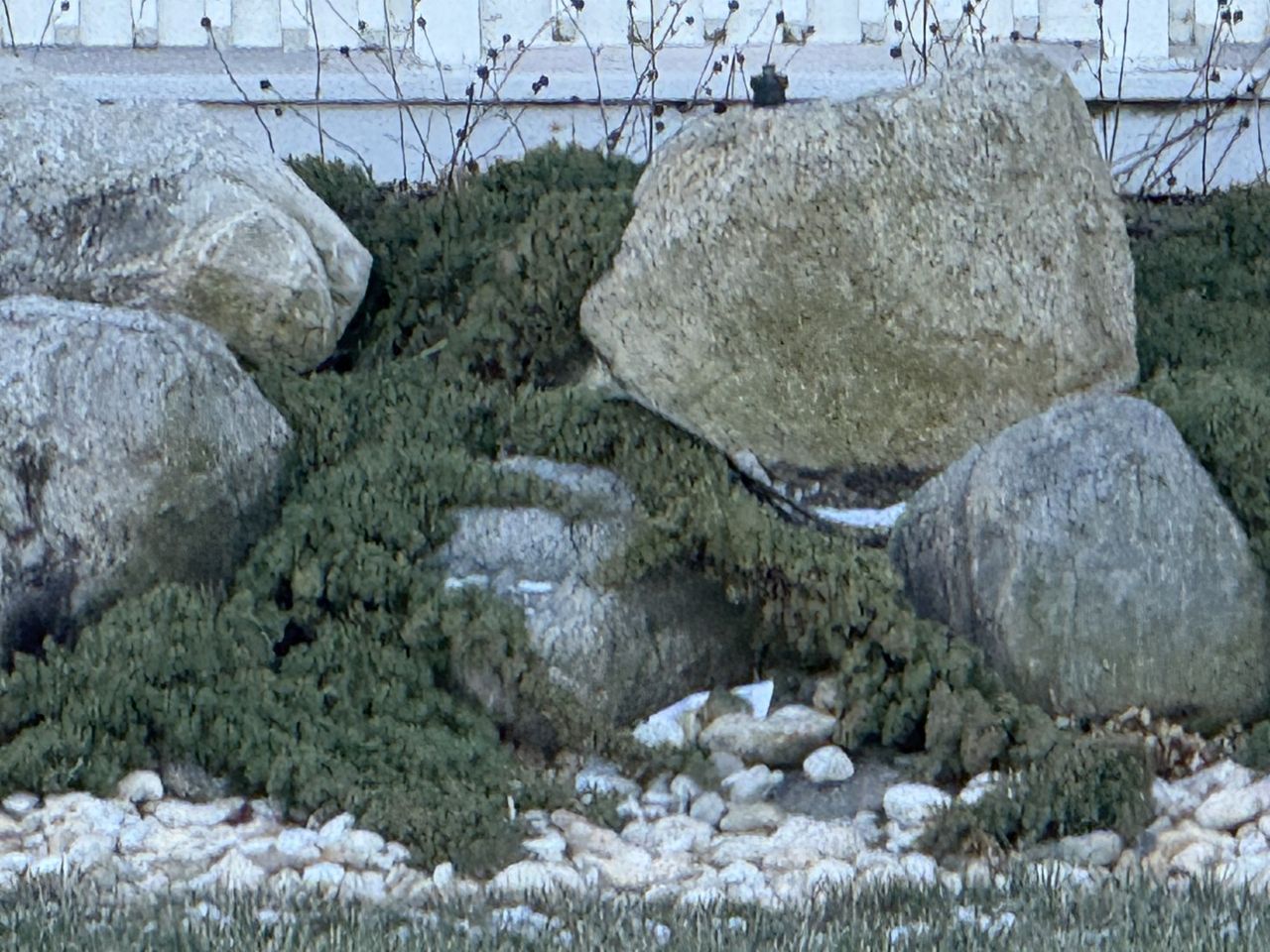 Apple iPhone 16 Pro Max zoom sample.