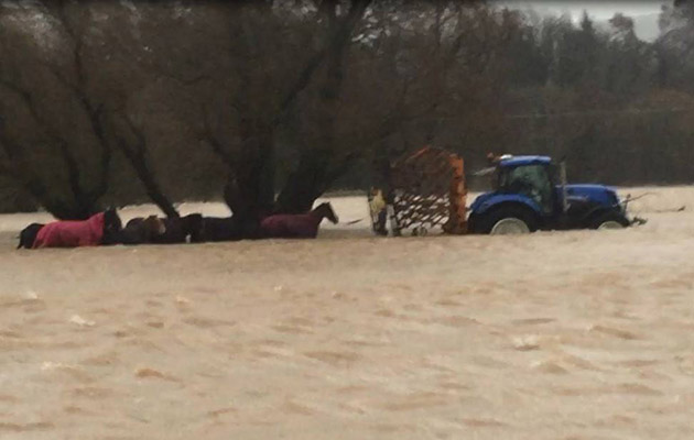 tractorrescue.jpg