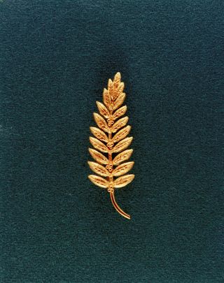 A golden olive branch left on the moon's surface by the Apollo 11 astronauts to represent peace.