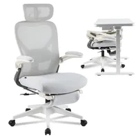 FlexiSpot Foldex Ergonomic Office Chair