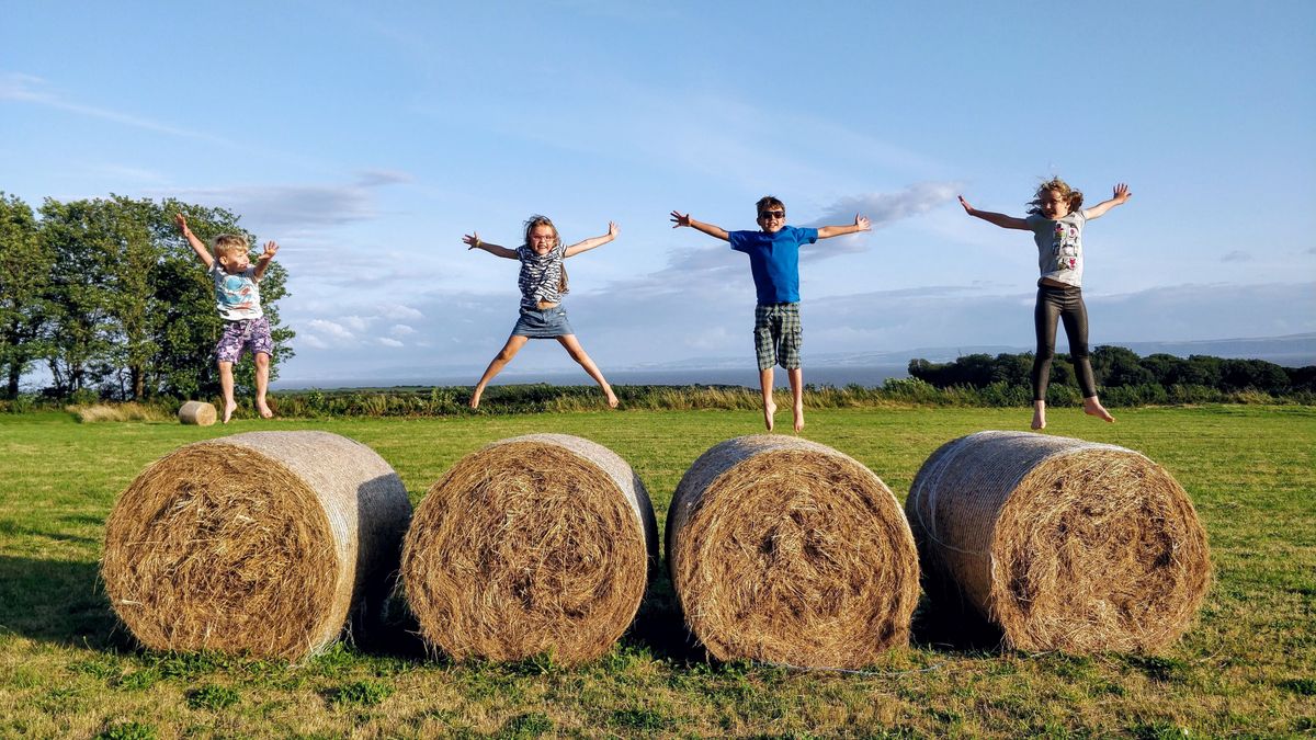 Kits standing on hay bales