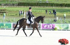TOWNEND_WEG14PN_31226.jpg