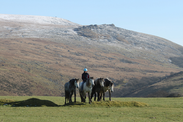 Atlantis Nahla Comet Calypso on dartmoor (3)