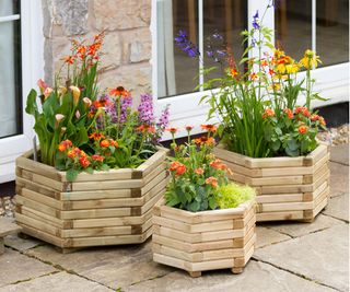 Set of 3 hexagonal wooden garden planters filled with hot orange, yellow and purple flowers