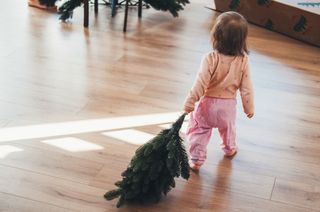 child dragging a piece of Christmas tree across the floor