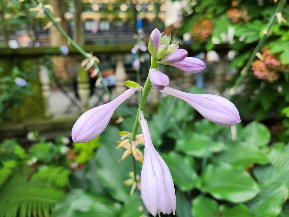 Samsung Galaxy Z Fold 4 closeup sample.