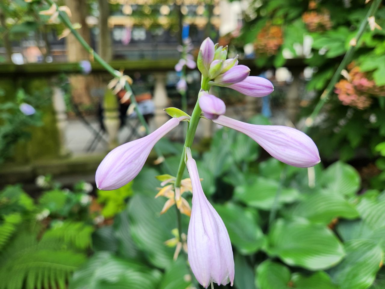Samsung Galaxy Z Fold 4 closeup sample.