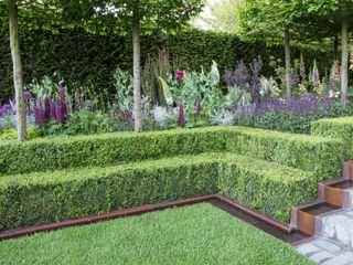 corten lawn edging, hedges and flowers