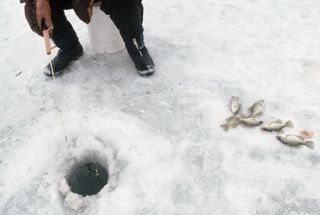 A man ice fishes in a frozen river