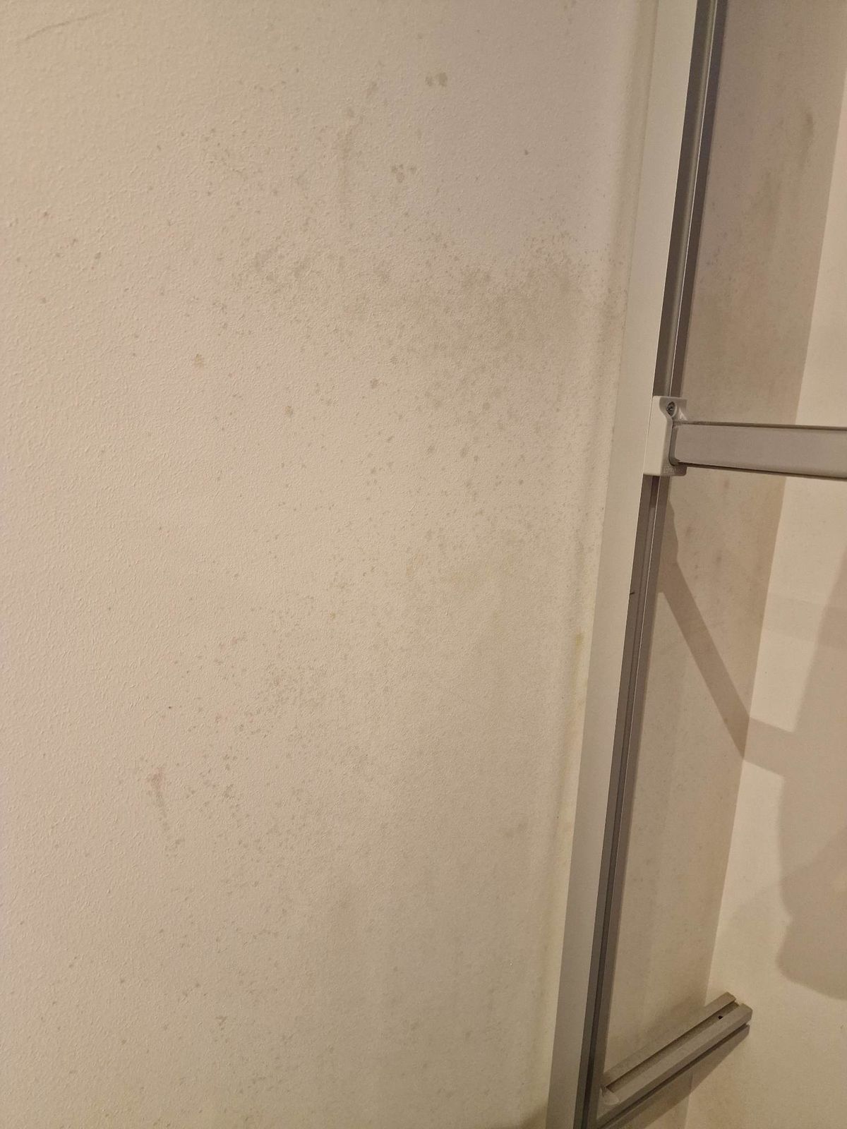 Mould growing inside Beth's wardrobe