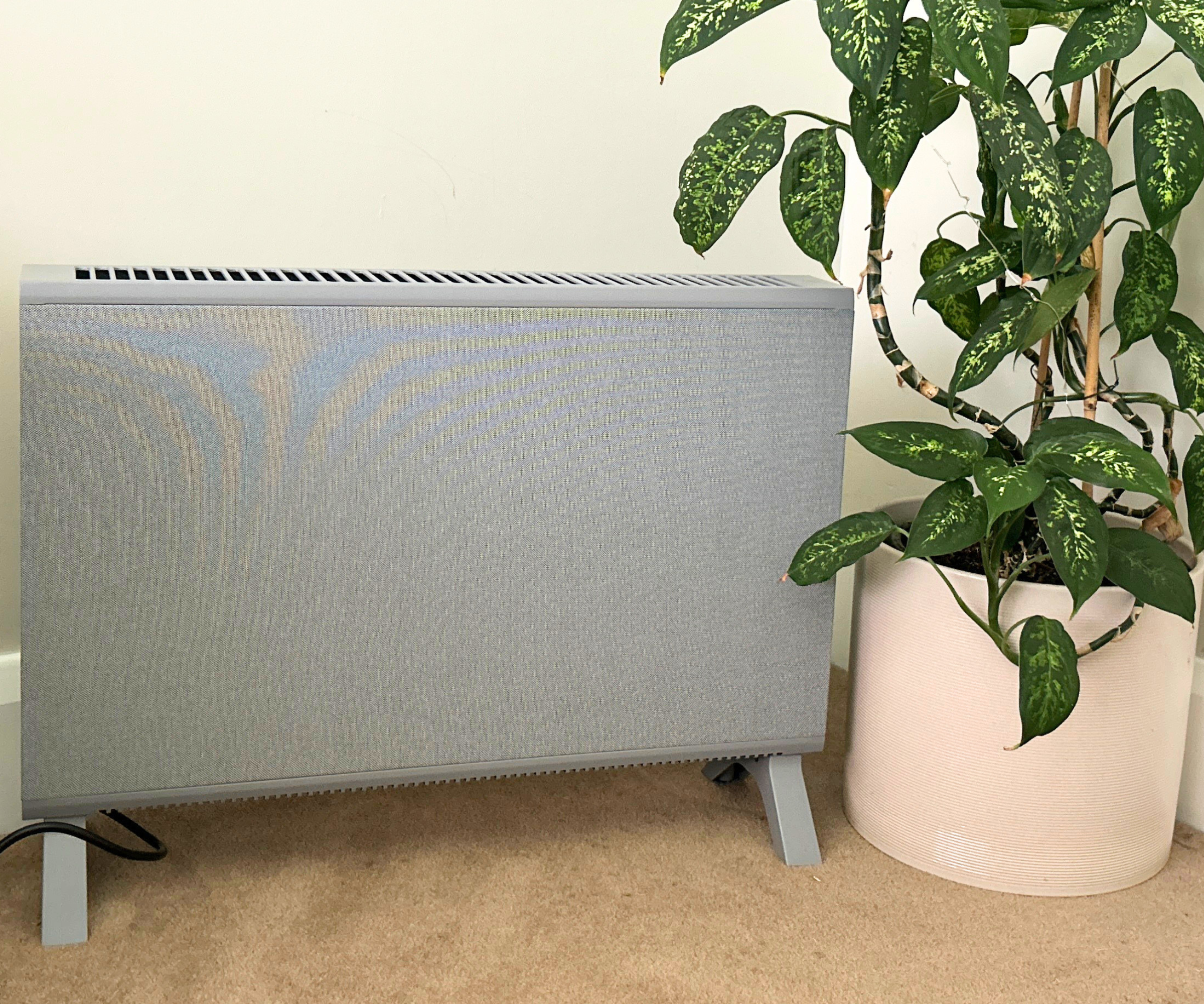 portable heater next to plant