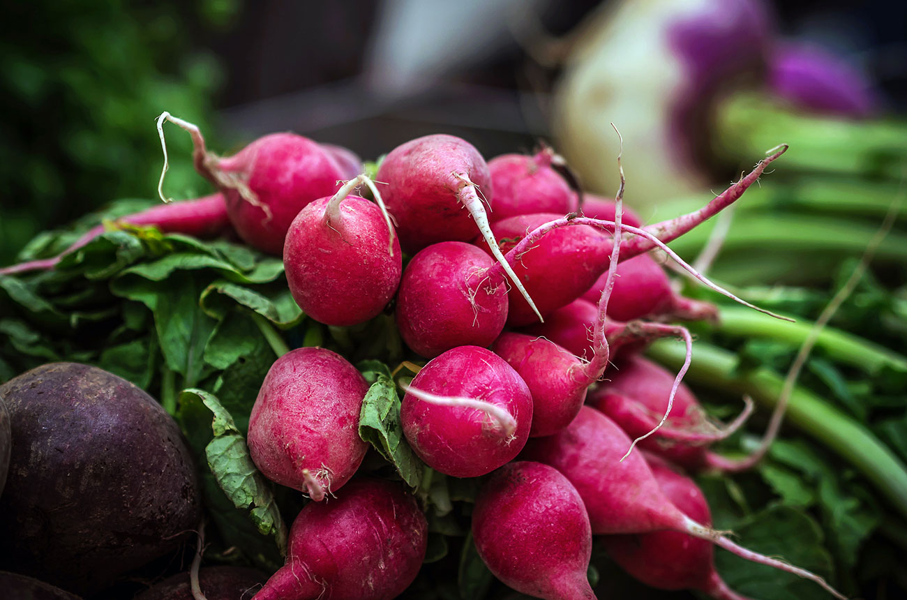 pink radish