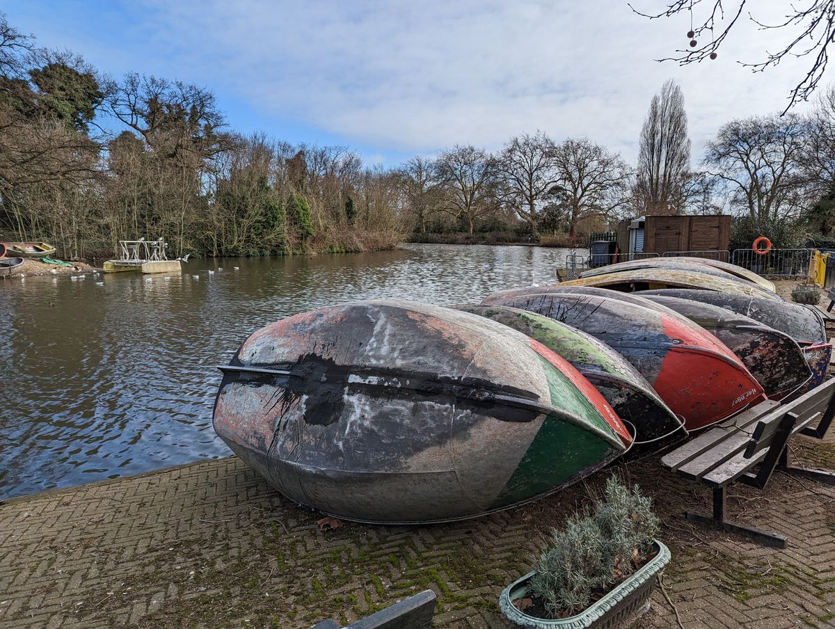 Google Pixel 7 Pro sample images