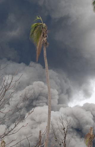 Thick layers of ash cover and burn the vegetation around the Tavurvur volcano in Papua New Guinea.