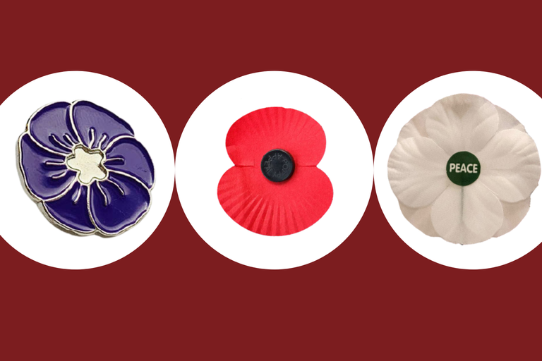 a collage of the different coloured poppies for Remembrance Day 2021