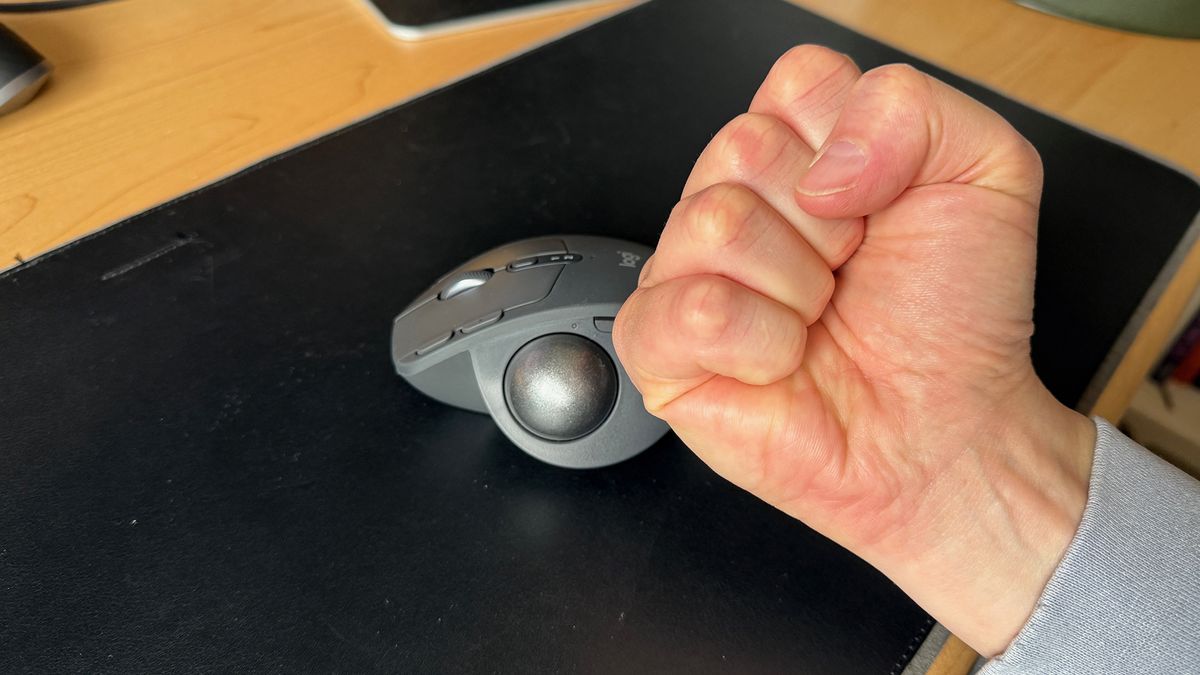 A fist being shook at a naughty mouse.