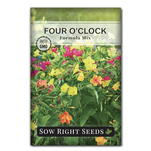 Sow Right Seeds - Four O&amp;rsquo;clock Formula Mix Flower Seeds for Planting - Annual Plant With Sweet Essence - Non-Gmo Heirloom Packet With Instructions to Plant a Home Garden - Marvel of Peru (1)