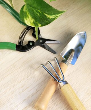 pruning shears besides a small trowel and rake