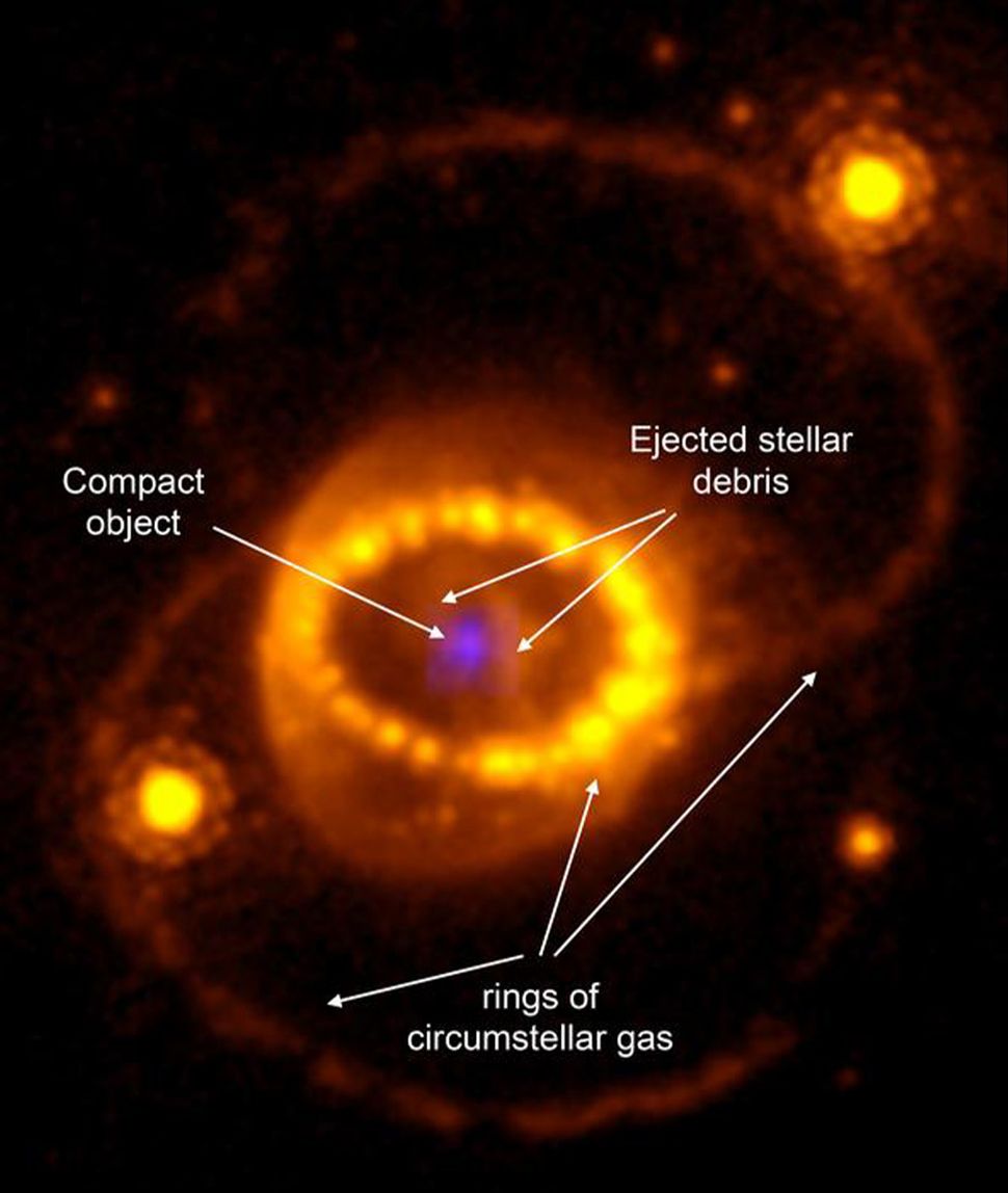 Finally We Have The Evidence James Webb Telescope Spots Neutron Star Hiding In Wreckage Of 