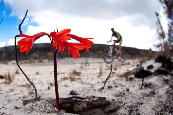 Riders make their way through burned farmlands