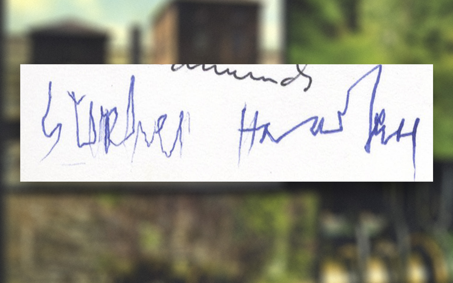 Stephen Hawking signature