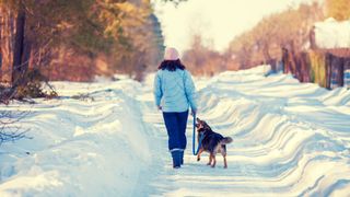 Woman walking dog in the snow
