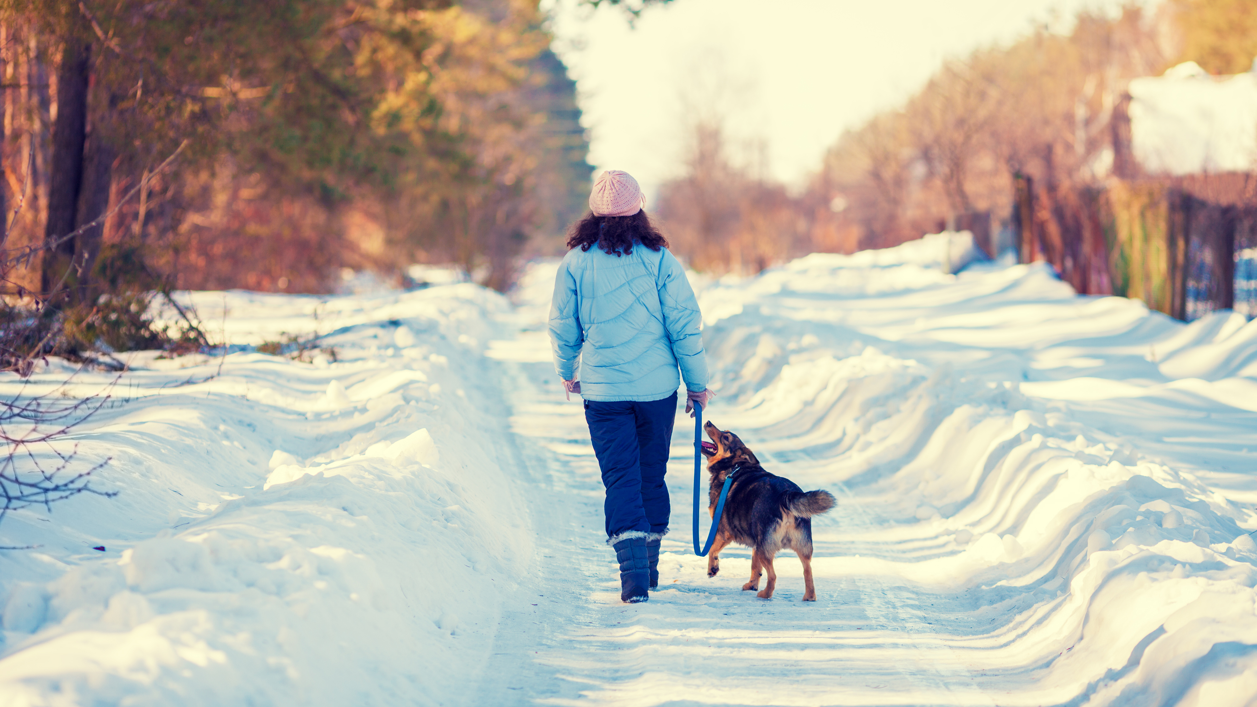 Woman walking dog in the snow