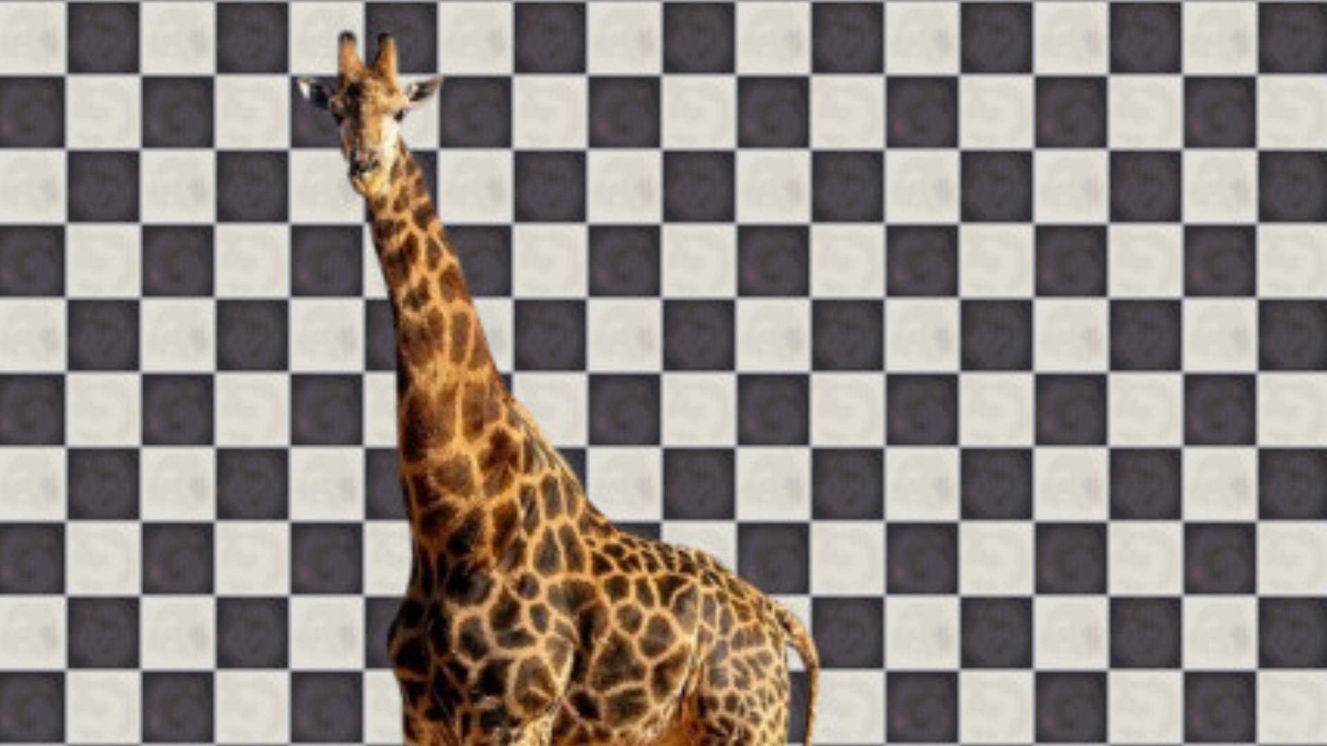 A giraffe appears in prank Steam game This Game Costs 200 Dollars