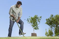 Man Gardening, news, Marie Claire