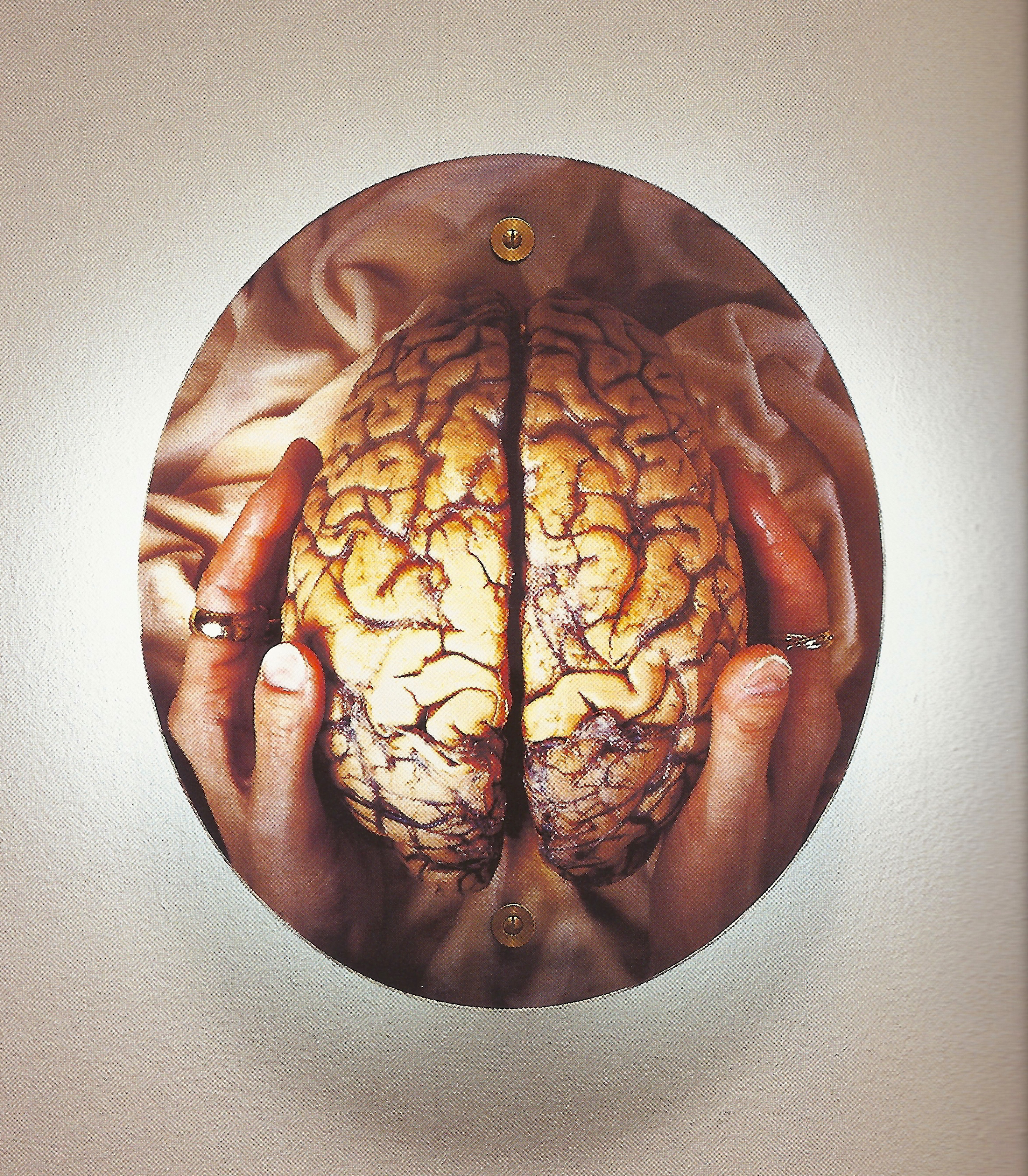 artwork of brain held in hands