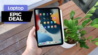 iPad mini 6 tablet in hand with wooden table and plant in the background