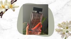 Hand holding the Narciso Rodriguez For Her Musc Noir Rose EDP on a white marble background, with a sage green circle, vanilla pods and tuberose flowers in background