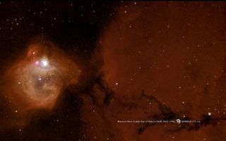 Massive Infant Stars Carve Holes