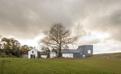 House with greenery and tree 