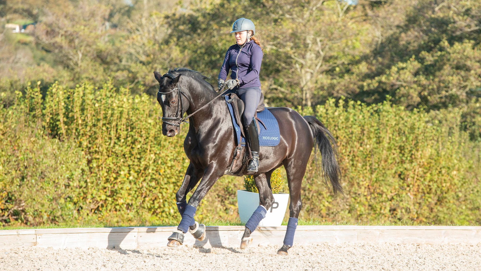 Introduce your horse to counter-canter with this teardrop exercise