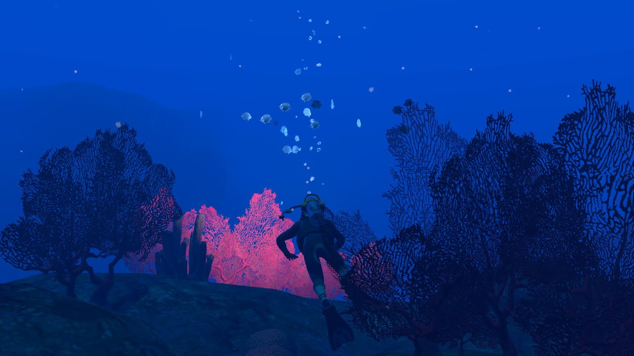 Screenshot of Endless Ocean Luminous showing coral and fish species
