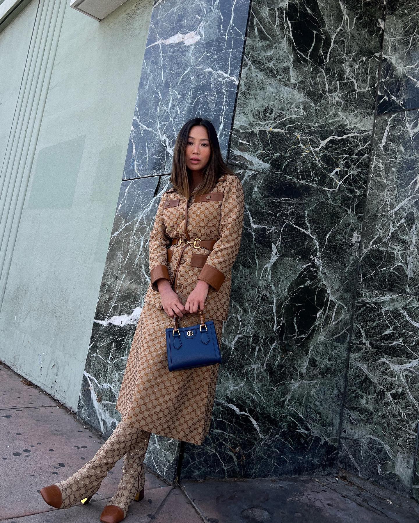 An image of the best Gucci bag.