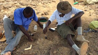 Cyprian Nyete (left) and Isaiah Nengo (right) excavating Alesi, using fine picks and brushes, as well as a hardener to protect the fossil bone.